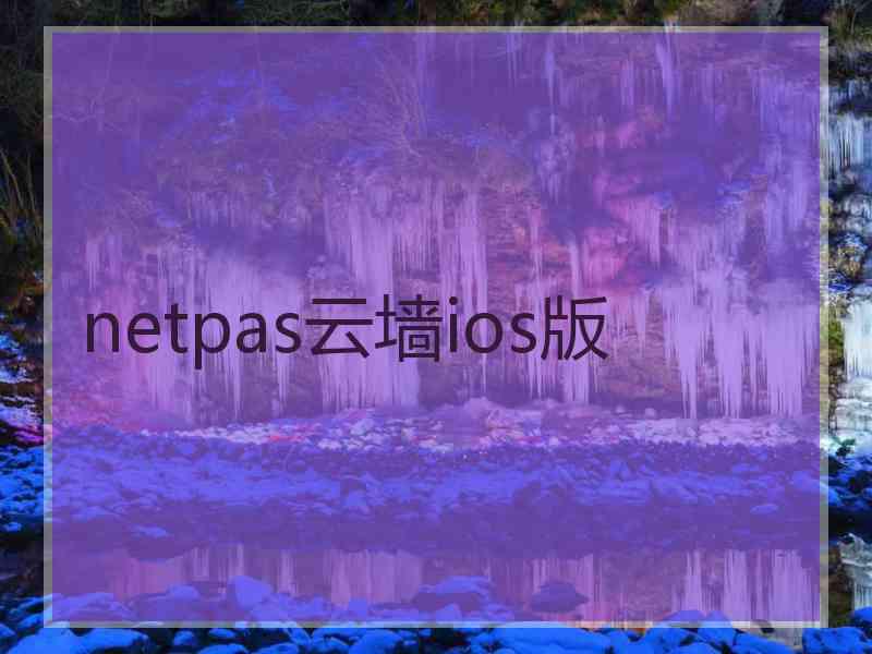 netpas云墙ios版