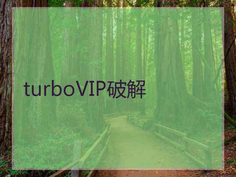 turboVIP破解