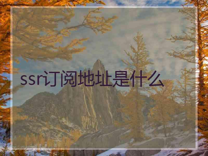 ssr订阅地址是什么