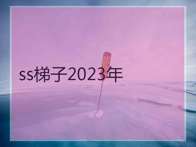 ss梯子2023年