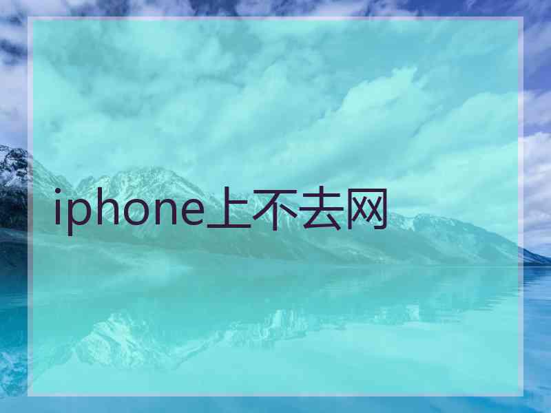 iphone上不去网