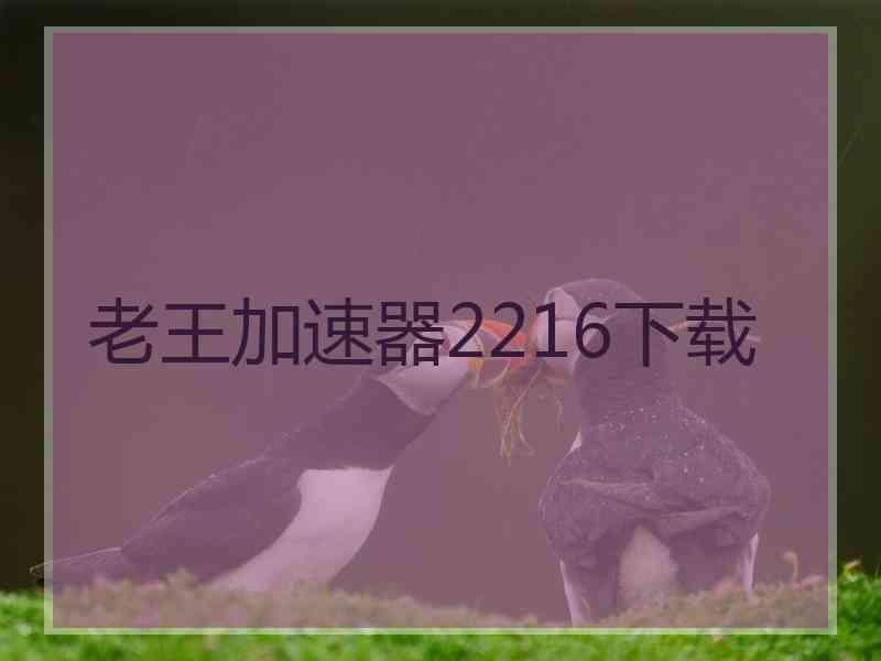 老王加速器2216下载