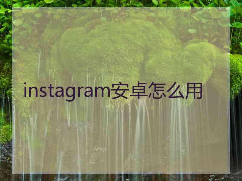 instagram安卓怎么用