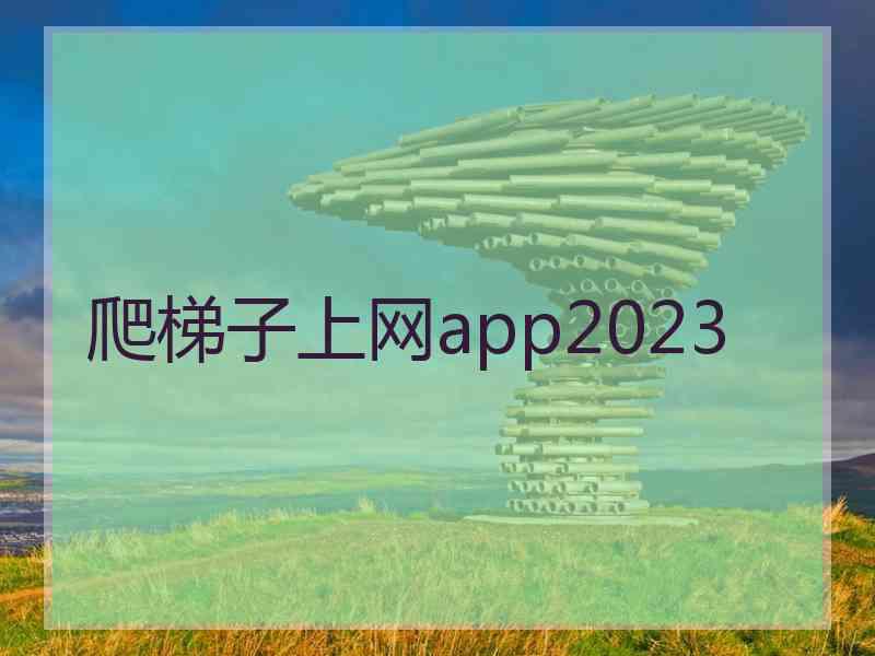 爬梯子上网app2023